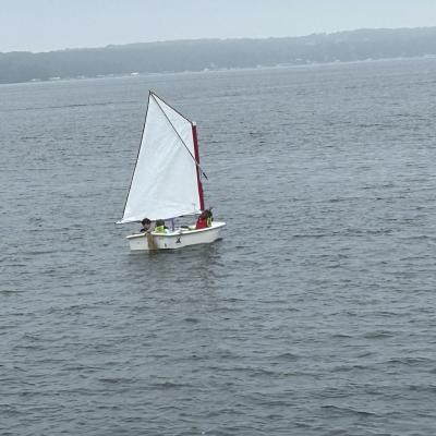 Img 1456