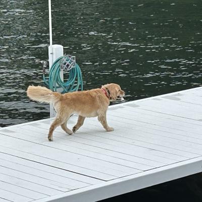 Img 1468