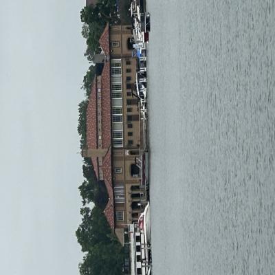 Img 1533